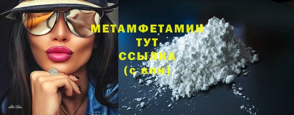 PSILOCYBIN Горняк