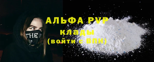 PSILOCYBIN Горняк