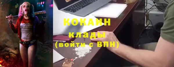 PSILOCYBIN Горняк