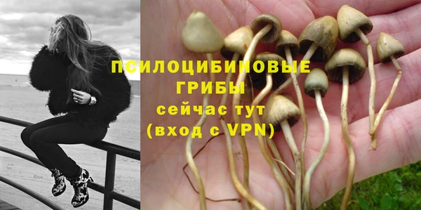 PSILOCYBIN Горняк