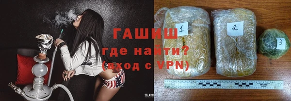 PSILOCYBIN Горняк